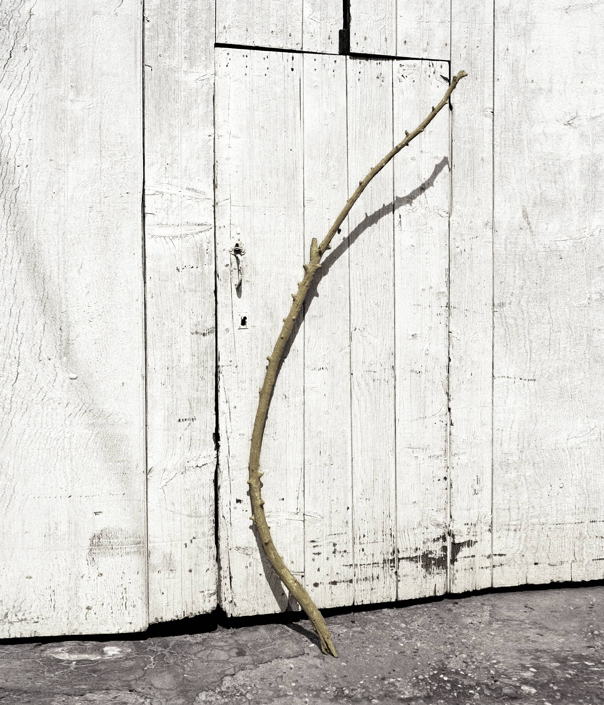 Still life, Adrien Vargoz, artiste français, ENSP Arles, photographie documentaire